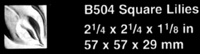 b504.JPG (6485 bytes)