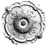 r31.jpg (6130 bytes)