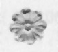 r17.JPG (2341 bytes)
