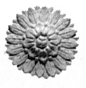r3.JPG (7901 bytes)